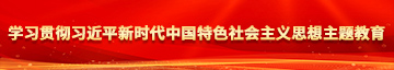 国产秘精品入口免费软件学习贯彻习近平新时代中国特色社会主义思想主题教育