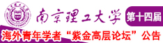 老妇逼南京理工大学第十四届海外青年学者紫金论坛诚邀海内外英才！